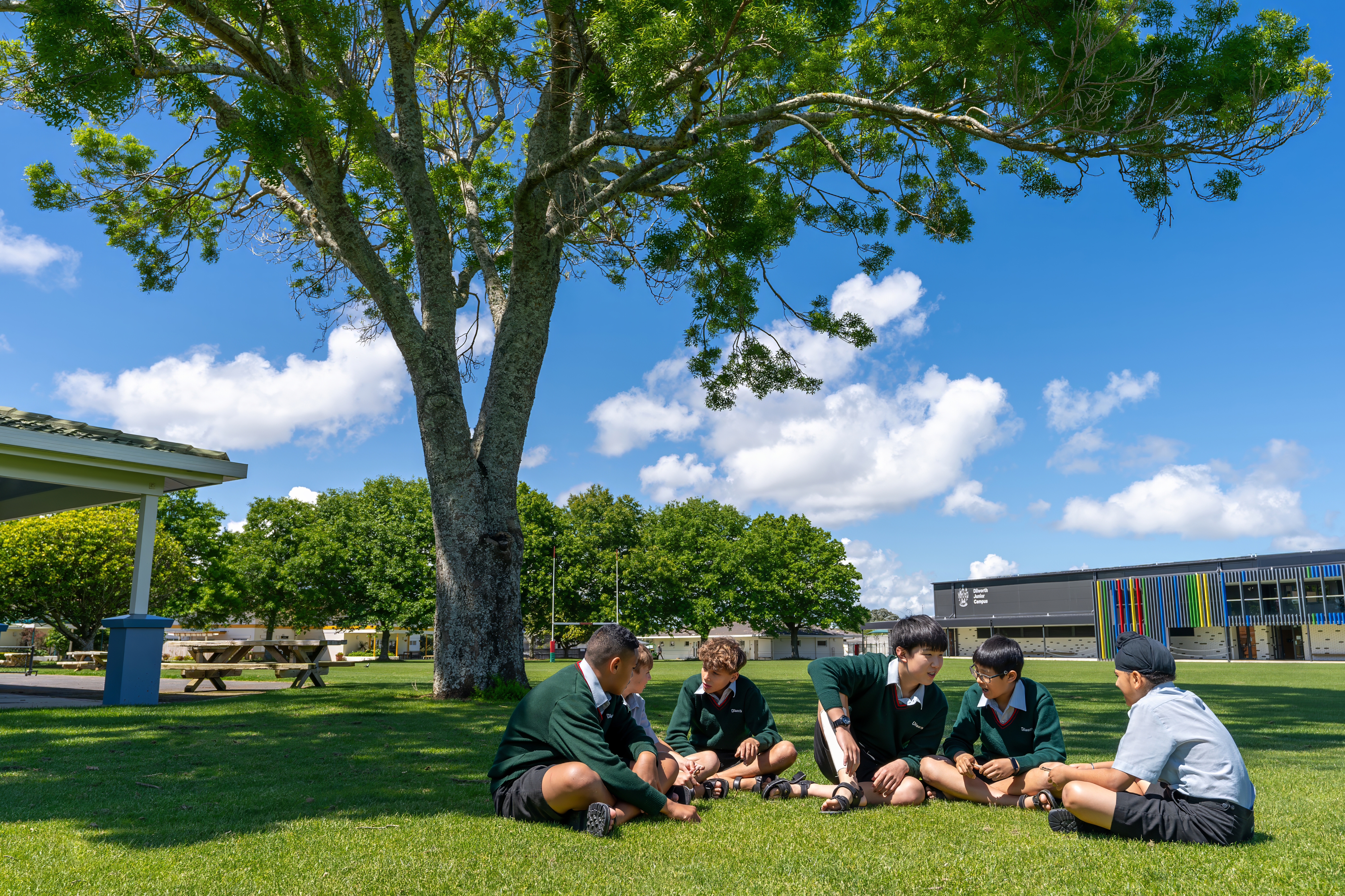 boys sitting on the grass under a tree on the field 