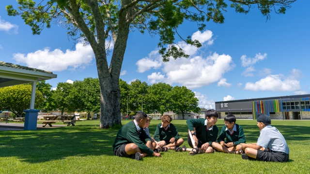 boys sitting on the grass under a tree on the field 