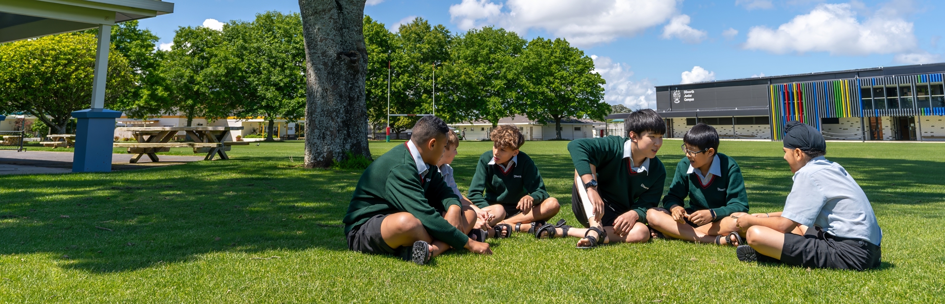 boys sitting on the grass under a tree on the field 